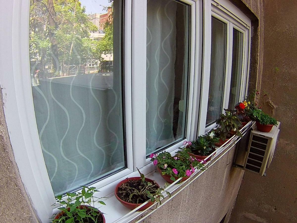 Apartmán Downtown Dream Záhřeb Exteriér fotografie